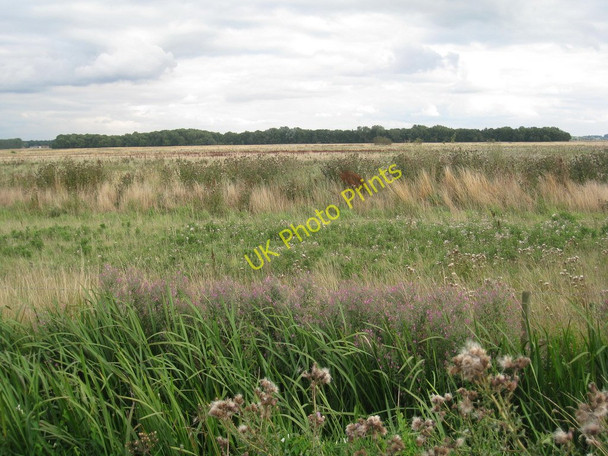 Photo 6"x4" Worlaby Carrs from Carr Lane Worlaby\/TA0113 c2010