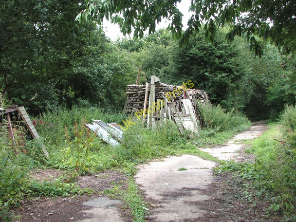 Photo 6"x4" Wood stack beside footpath through RAF Hethel Hethel c2010
