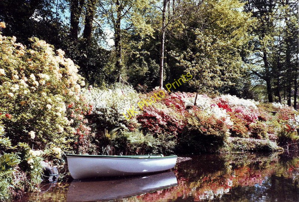 Photo 6"x4" The pond, Lukesland gardens near Ivybridge Ivybridge\/SX6356 c1997