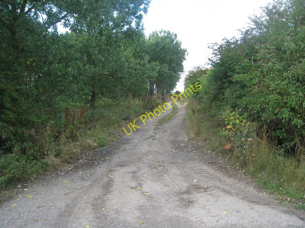 Photo 6"x4" Track to Clarkson's Carr Farm Worlaby\/TA0113 c2010