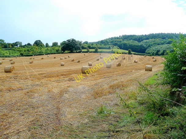 Photo 6"x4" Harvested field under the Penyard Ross-on-Wye c2010