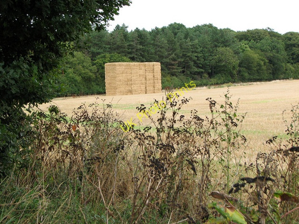 Photo 6"x4" A stack of straw bales on the southern edge of Oak Grove Hunstanton c2010