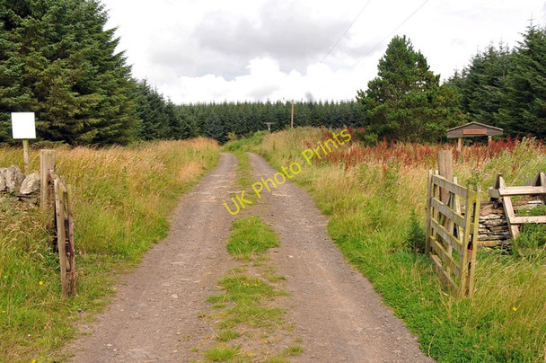 Photo 6"x4" Forest road into Hill of Quintfall Keiss c2010