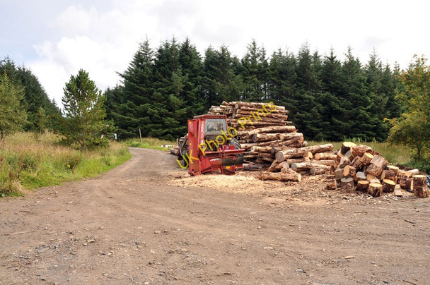 Photo 6"x4" Log piles beside the forest track at Hill of Quintfall Keiss c2010
