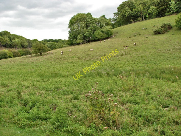 Photo 6"x4" Ringstead Downs nature reserve Hunstanton c2010