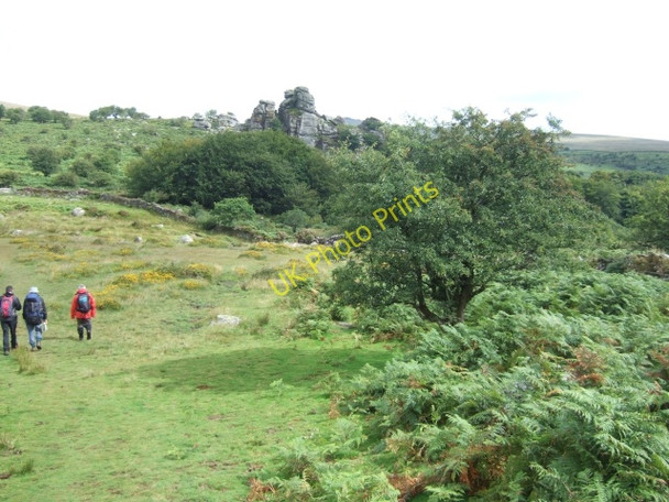 Photo 6"x4" Path north of Heckwood Tor Sampford Spiney c2010