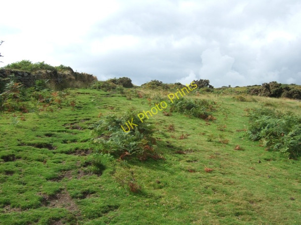 Photo 6"x4" Path north of Heckwood Tor Sampford Spiney c2010
