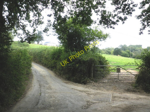 Photo 6"x4" Hill Lane, Whitestone Whitestone\/SX8693 c2010