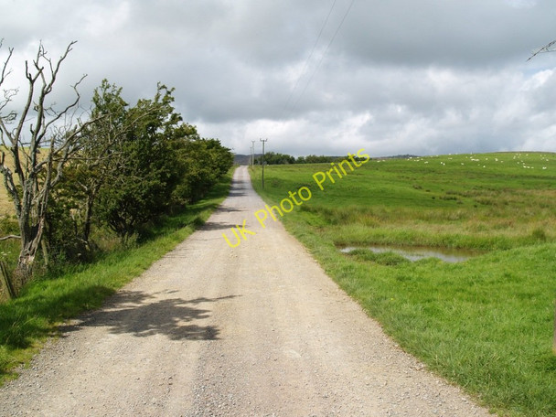 Photo 6"x4" On the road to Irelandton Farm, Twynholm. Twynholm c2010