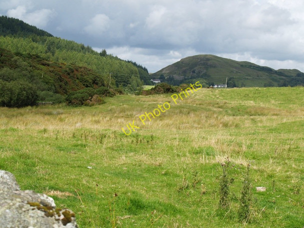 Photo 6"x4" Birchford Moss from Glengap Road. Ringford c2010