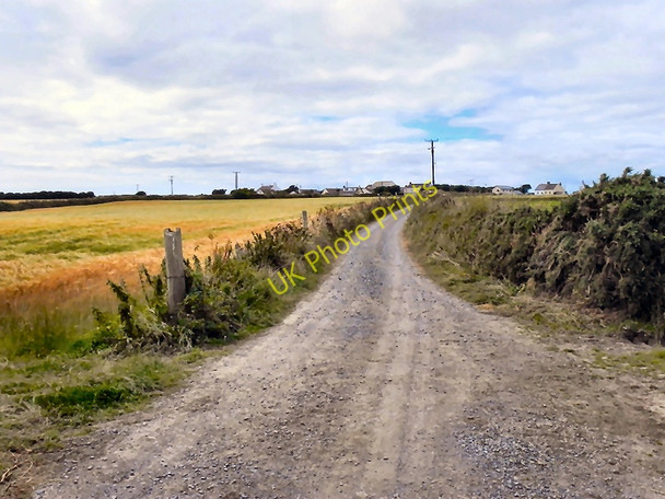 Photo 6"x4" Lloyds Road, Lizard Lizard c2010