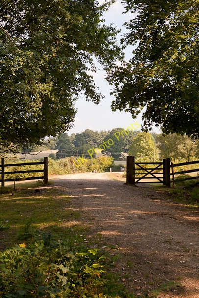 Photo 6"x4" Track from Ipley Inclosure to Foxhill Farm Pooksgreen c2010