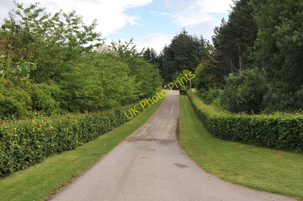 Photo 6"x4" Road to Croftbain Auchnarrow c2010
