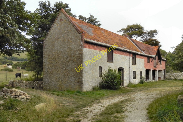 Photo 6"x4" Tyneham Farm Tyneham c2010