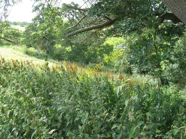 Photo 6"x4" The Dreepy Burn at Pathhead Pathhead\/NT3964 c2010