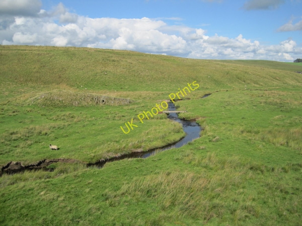 Photo 6"x4" Haining Burn near Tindale Tindale c2010