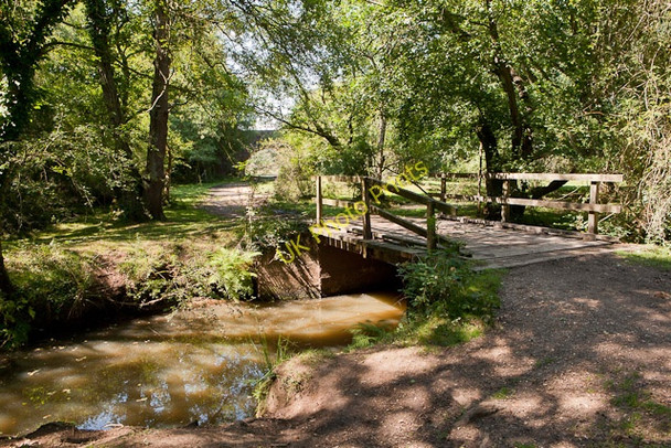 Photo 6"x4" Bridge at Fulliford Passage Ashurst\/SU3310 c2010