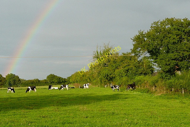 Photo 6"x4" Pasture at Middle Farm North End\/SU5829 c2010