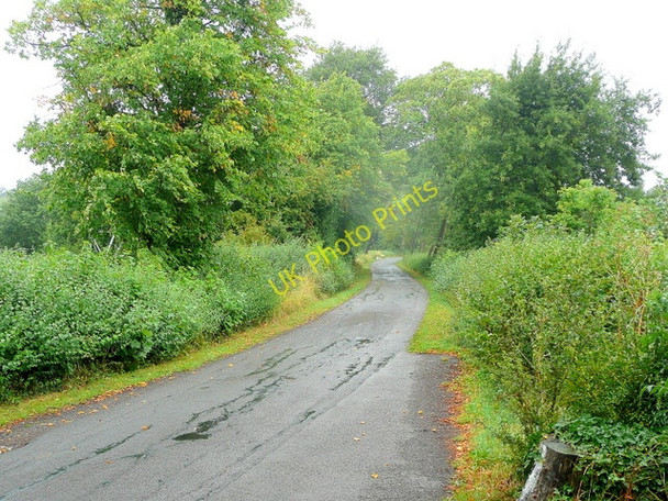 Photo 6"x4" Road to Wallsworth Hall Twigworth c2010
