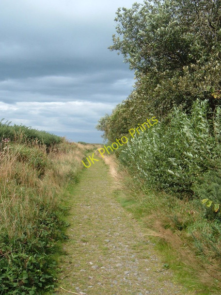 Photo 6"x4" Footpath beside River Ystwyth - seaward Aberystwyth c2009