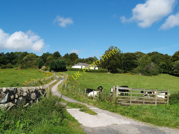 Photo 6"x4" Roadway leading to house Little Forest Auchencairn\/NX7951 c2010