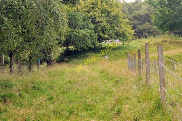 Photo 6"x4" Overgrown track to an abandoned house at Balnahinsh Culrain c2010