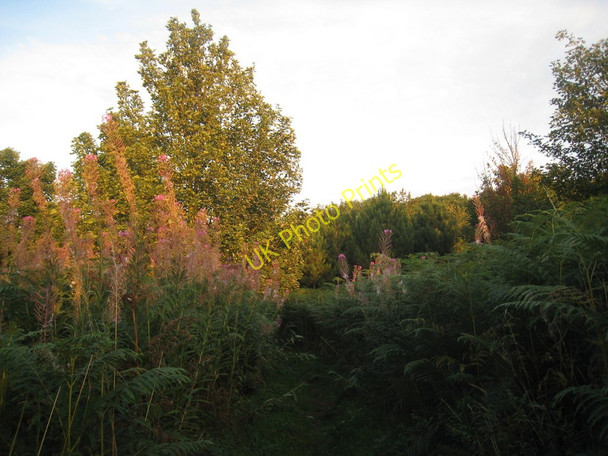 Photo 6"x4" Footpath to Castlethorpe (2) Broughton\/SE9608 c2010