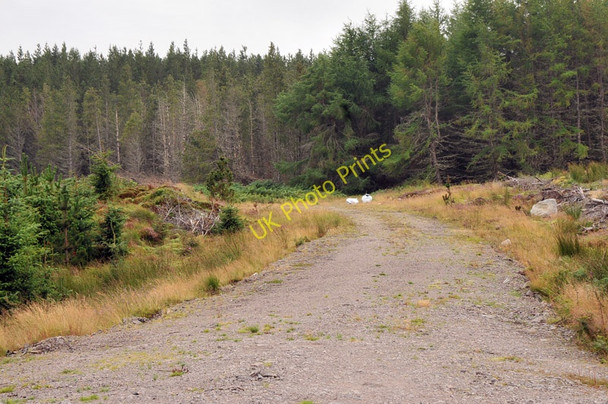 Photo 6"x4" Spur off the main forestry road in Birchfield Wood Achnahanat c2010