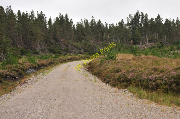 Photo 6"x4" Forestry road in Birchfield Wood Altass c2010