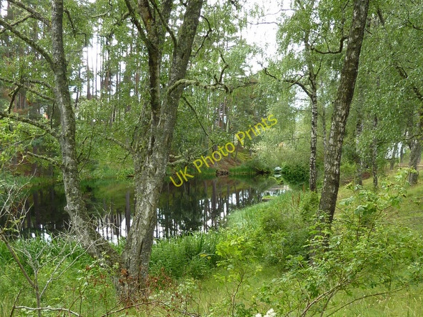Photo 6"x4" Pond at Inshriach House Alvie c2010