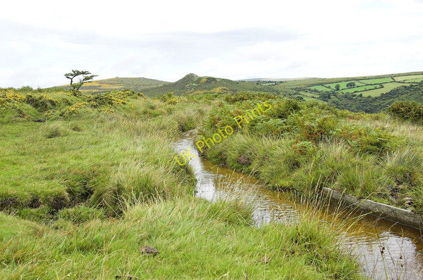 Photo 6"x4" Holne Moor Leat West Stoke\/SX6971 c2010