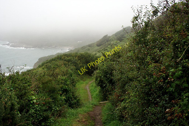 Photo 6"x4" Approaching East Portholland on the Coast Path in the Mist East Portholland c2010