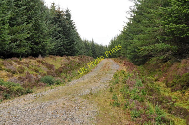 Photo 6"x4" Forest road through to Admiral's Farm Cnoc nan Gaimhnean c2010