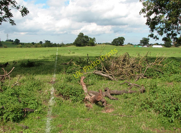 Photo 6"x4" Archaeologists at Venta Icenorum Caistor St Edmund c2010