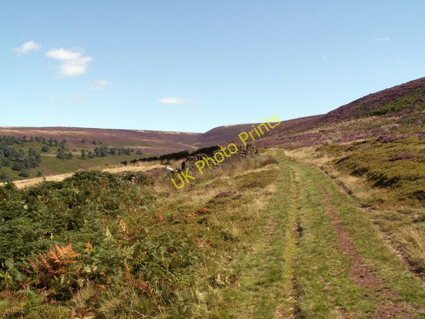 Photo 6"x4" Tintwistle Low Moor Track Tintwistle c2010