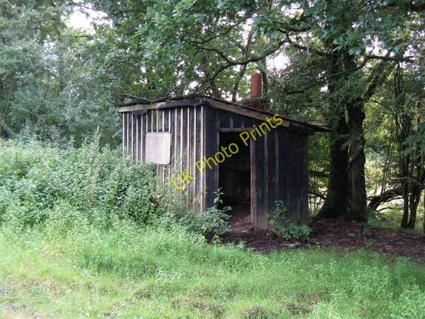 Photo 6"x4" Abandoned railway shed south of Llanfallteg Llanfallteg c2010