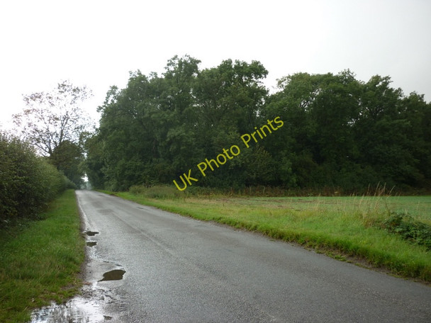 Photo 6"x4" A wood next to Wells Road, near Healing Aylesby c2010