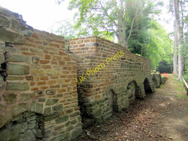 Photo 6"x4" Excavated remains of Dilston Hall Dilston c2010