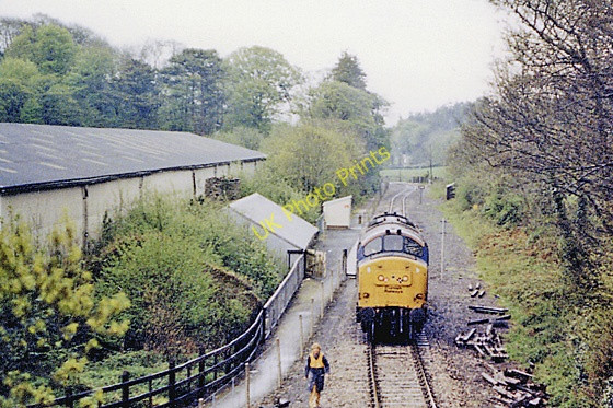 Photo 6"x4" Coombe Halt Liskeard c1987