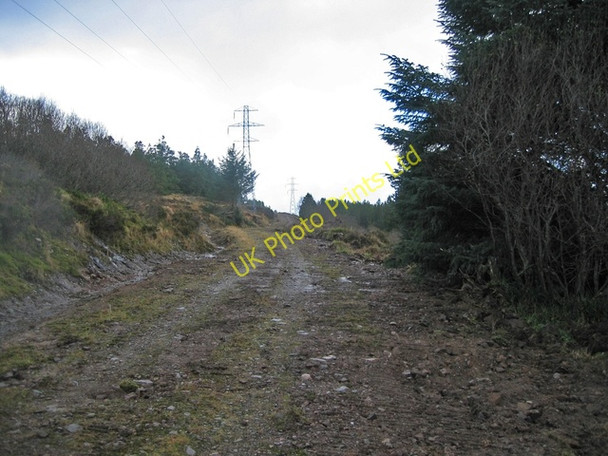 Photo 6"x4" Forest track near Kyleakin Ashaig\/Athaiseig c2007
