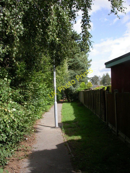Photo 6"x4" Ferndown, footpath Ameysford c2010