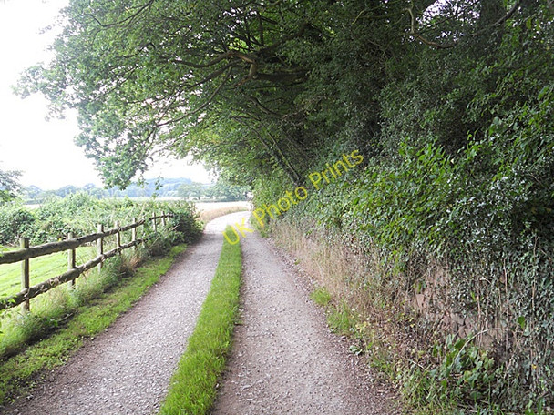 Photo 6"x4" Track beside the Shropshire Union Canal Adbaston c2010