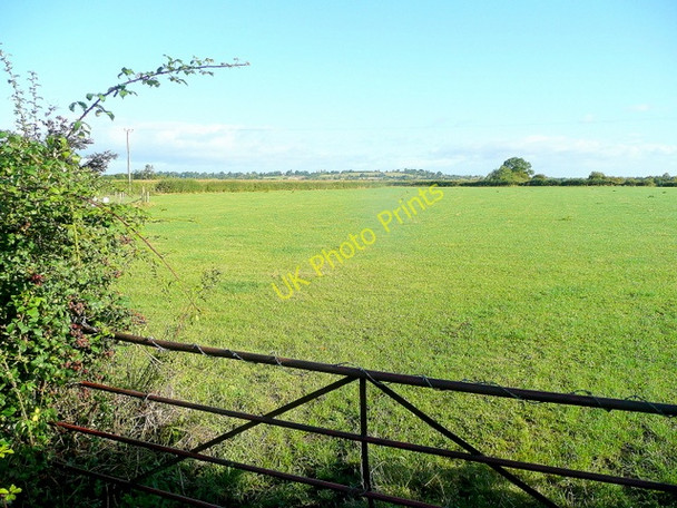 Photo 6"x4" Flat pasture land Prior's Norton c2010