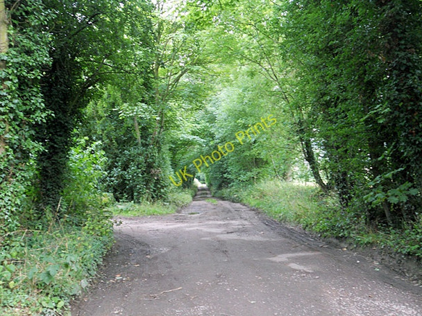 Photo 6"x4" Straight farm track Adbaston c2010