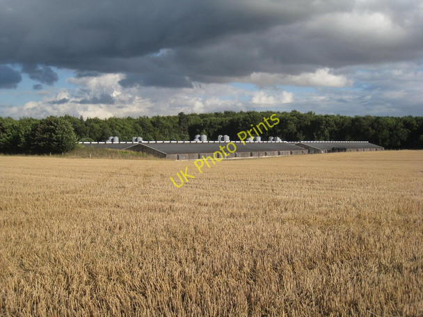 Photo 6"x4" Poultry farm near Heron Holt Broughton\/SE9608 c2010