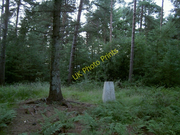 Photo 6"x4" Highwood Brow trig point Hackness\/SE9790 c2010