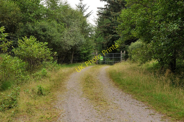 Photo 6"x4" Gated forestry road in Glen Loy Muirshearlich c2010