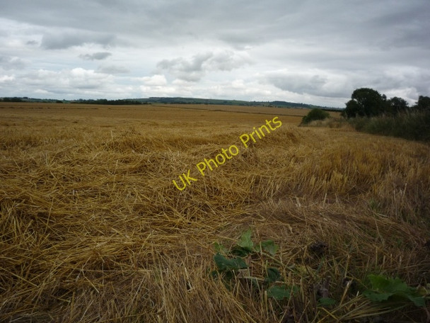 Photo 6"x4" Farmland near Scrayingham Scrayingham c2010