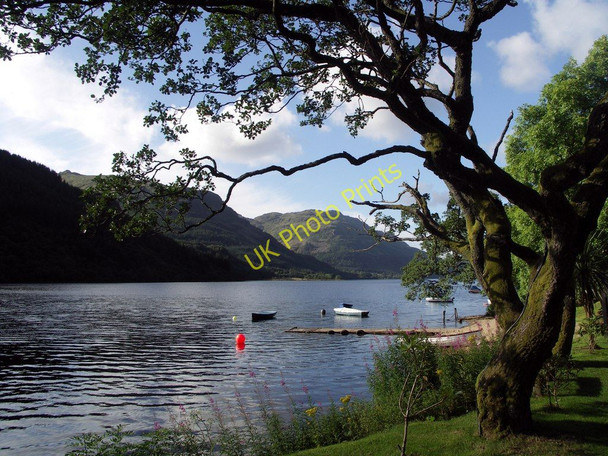 Photo 6"x4" Loch Eck, Argyll & Bute Benmore\/NS1385 c2005