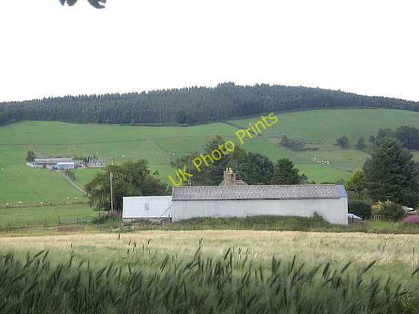 Photo 6"x4" Newton Farm Leochel-Cushnie c2010